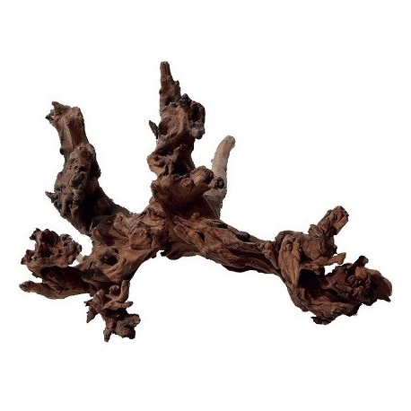 amtra φυσικό ξύλο Mystic Wood 15-20cm (Διάφορα σχέδια)