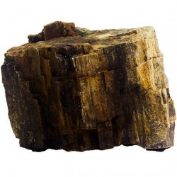Strideways Φυσική πέτρα Fossilized Wood 1kg