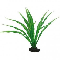 HΟΒΒΥ Διακοσμητικό φυτό Crinum 29cm