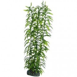 HΟΒΒΥ Διακοσμητικό φυτό Heteranthera 34cm
