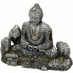 AQUA DELLA συνθετικό διακοσμητικό Buddha L