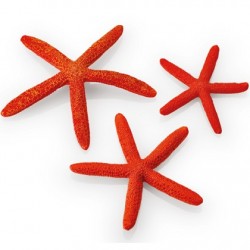 biOrb starfish Set 3 Red
