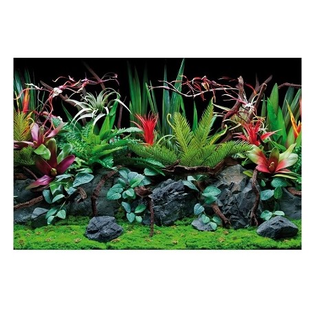amtra DOUBLE POSTER FLORA 30x60cm