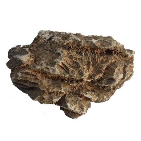 EUROPET φυσική πέτρα Pagode(Διάφορα σχέδια)