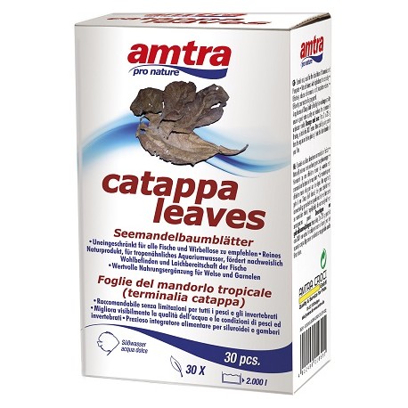 Amtra Φύλλα Catappa 30 τεμ.