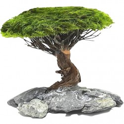 Marimo Tree Figure M (14-19cm)