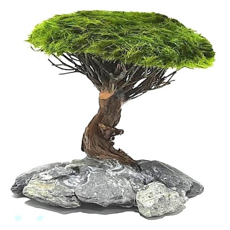 Marimo Tree Figure L (20-25cm)