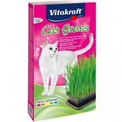 Vitakraft Cat Grass γρασίδι για γάτες 120g