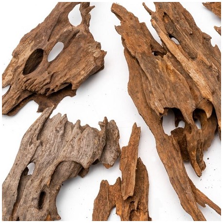 Strideways Φυσικό ξύλο Dragon Wood 10-30cm