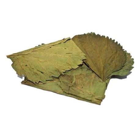 Ceramic Nature Mulberry Leaves (Φύλλα μουριάς) 10x