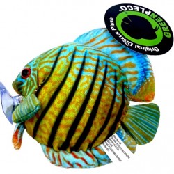 Green Pleco Λούτρινο διακοσμητικό Discus fish plush 17x17x9cm