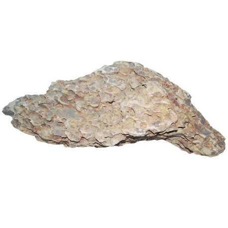 Strideways Φυσική πέτρα Dragon Stone DRAGON2 65x30cm