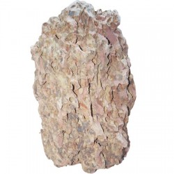Strideways Φυσική πέτρα Dragon Stone DRAGON1 55x32cm