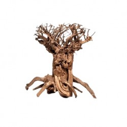 Strideways φυσικό χειροποίτητο ξύλο Mammoth Bonsai S