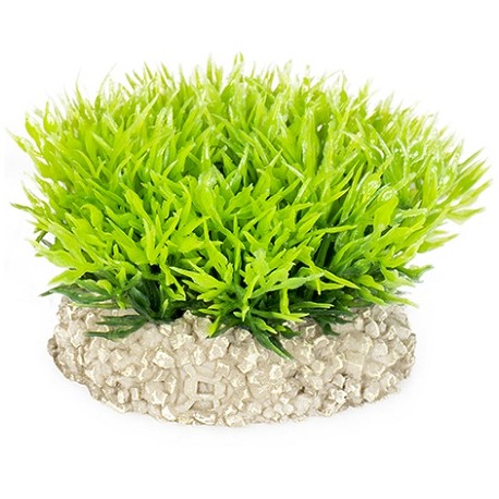 Aqua Della συνθετικό διακοσμητικό Plant crystalwort moss Green S