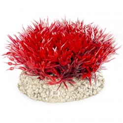 Aqua Della συνθετικό διακοσμητικό Plant crystalwort moss Red S