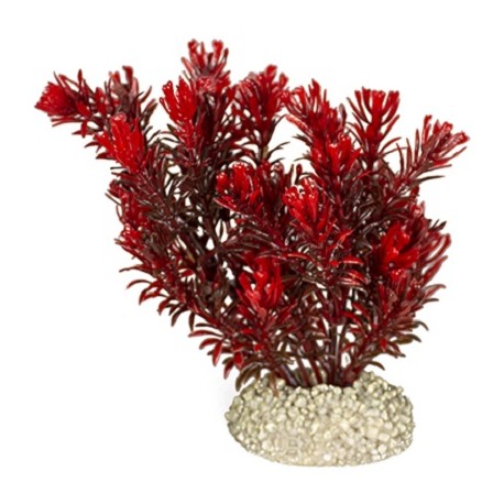Aqua Della συνθετικό διακοσμητικό Plant canadensis Red S