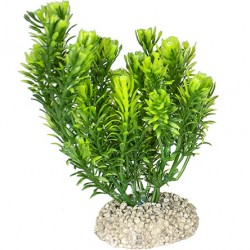 Aqua Della συνθετικό διακοσμητικό Plant canadensis Green S