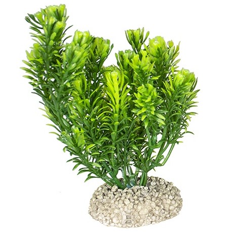 Aqua Della συνθετικό διακοσμητικό Plant canadensis Green S