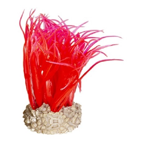 Aqua Della συνθετικό διακοσμητικό Plant hair grass Red S