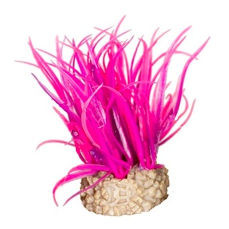 Aqua Della συνθετικό διακοσμητικό Plant hair grass Pink S