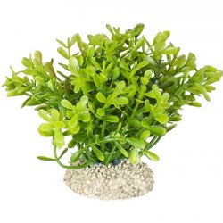 Aqua Della συνθετικό διακοσμητικό Plant glosso Green S