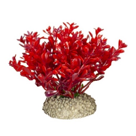 Aqua Della συνθετικό διακοσμητικό Plant glosso Red S