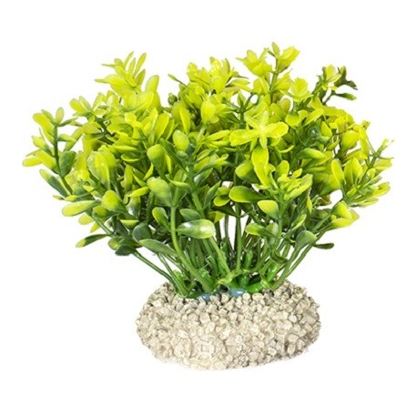 Aqua Della συνθετικό διακοσμητικό Plant glosso Green-Yellow S