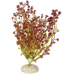 Aqua Della συνθετικό διακοσμητικό Plant bacopa Red M