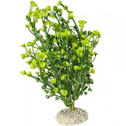 Aqua Della συνθετικό διακοσμητικό Plant bacopa Green M