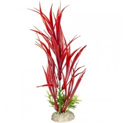 Aqua Della συνθετικό διακοσμητικό Plant amazon sword Red M