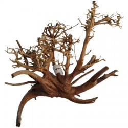 Wio Arbustus tree M (Υ:25-35cm, L:30-50cm)