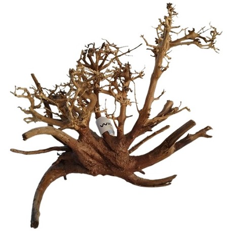 Wio Arbustus tree M (Υ:25-35cm, L:30-50cm)