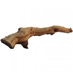 Strideways Φυσικό ξύλο MOPANI MOP105 31x8cm