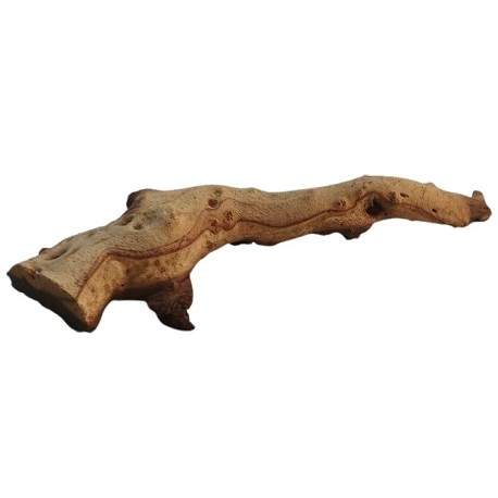 Strideways Φυσικό ξύλο MOPANI MOP105 31x8cm