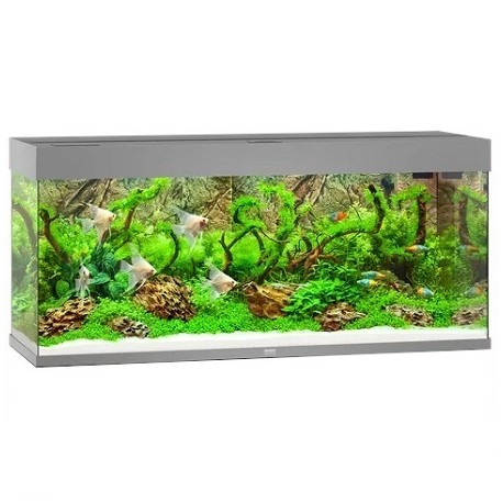 Juwel ενυδρείο Rio 240 LED Γκρί 240lt 121x55x41cm