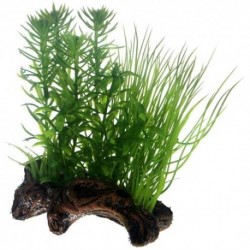 Hobby διακοσμητικό φυτό ενυδρείου Flora Root 2-S με υποδοχή αεραντλίας