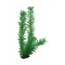 Hobby Διακοσμητικό φυτό Egeria Densa 34cm