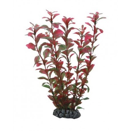 Hobby Διακοσμητικό φυτό Ludwigia 25cm