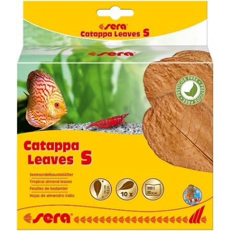 sera Catappa Leaves S (10 φύλλα/14cm)