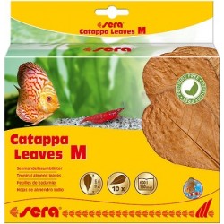 sera Catappa Leaves M (10 φύλλα/18cm)