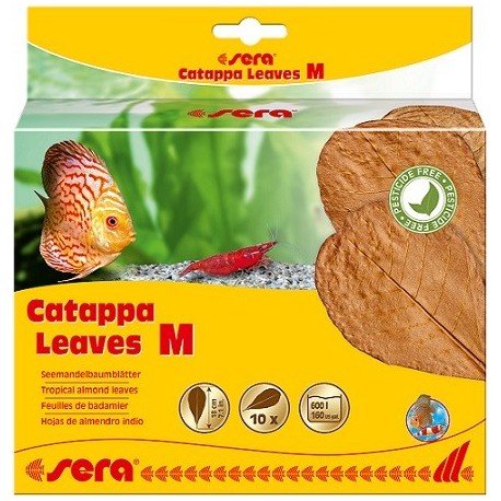 sera Catappa Leaves M (10 φύλλα/18cm)