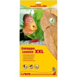sera Catappa Leaves XXL (10 φύλλα/32cm)