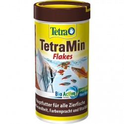 TetraMin Flakes 100ml/20g