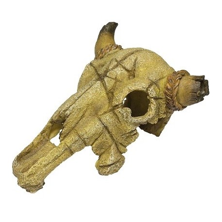 Dophin συνθετικό διακοσμητικό BUFFALO skull